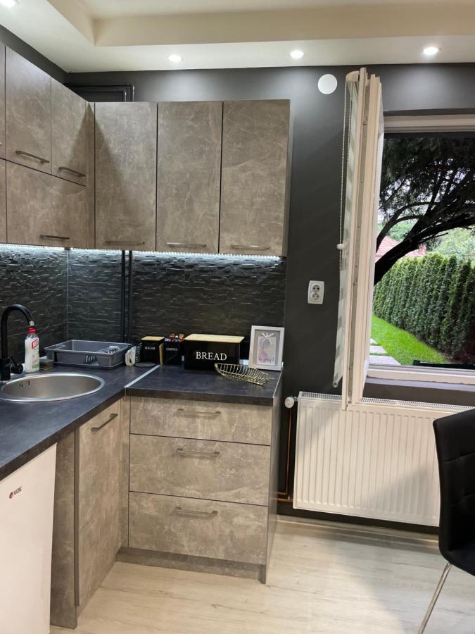 Beta House Apartments Зайечар Екстериор снимка