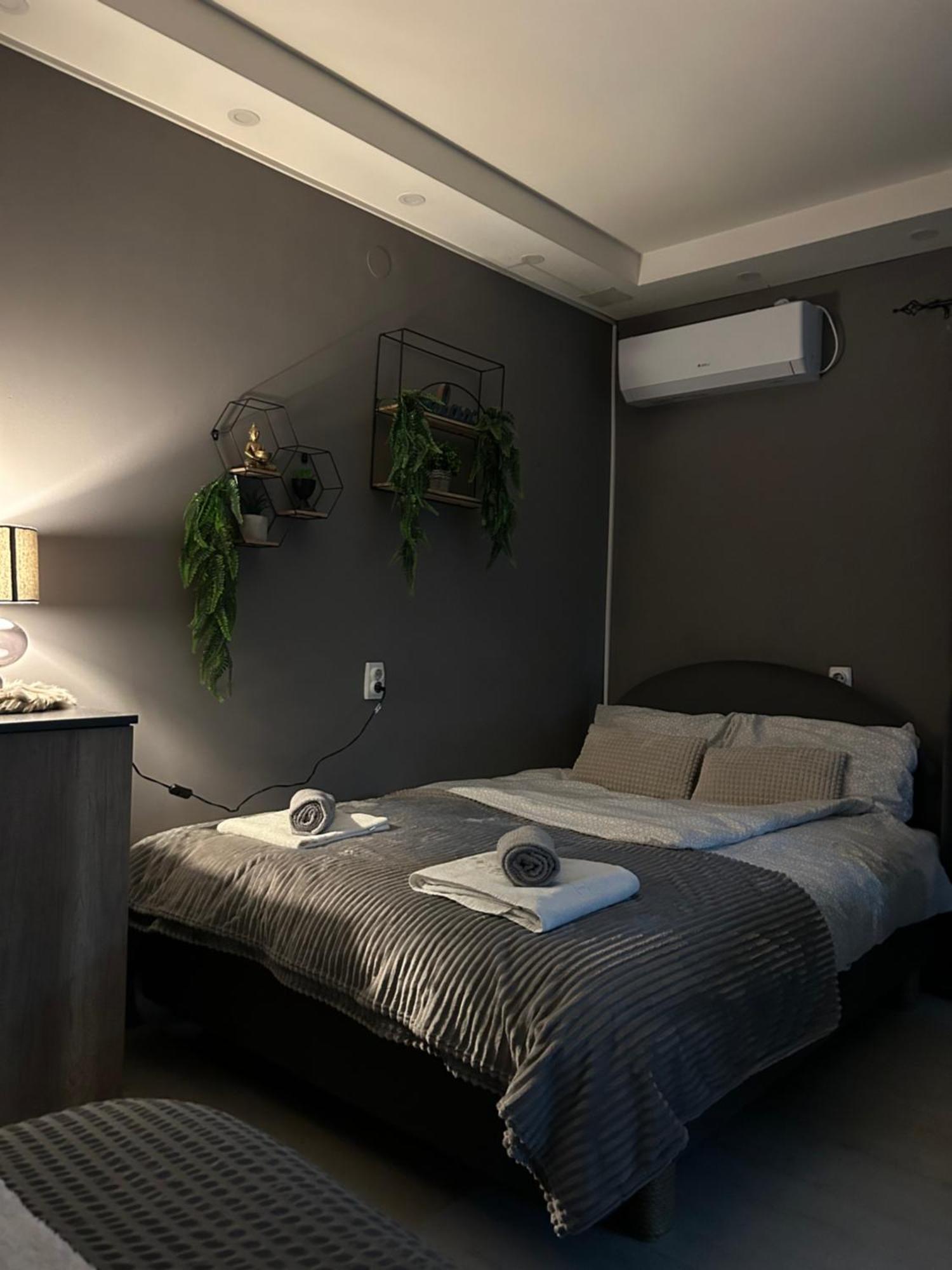 Beta House Apartments Зайечар Екстериор снимка